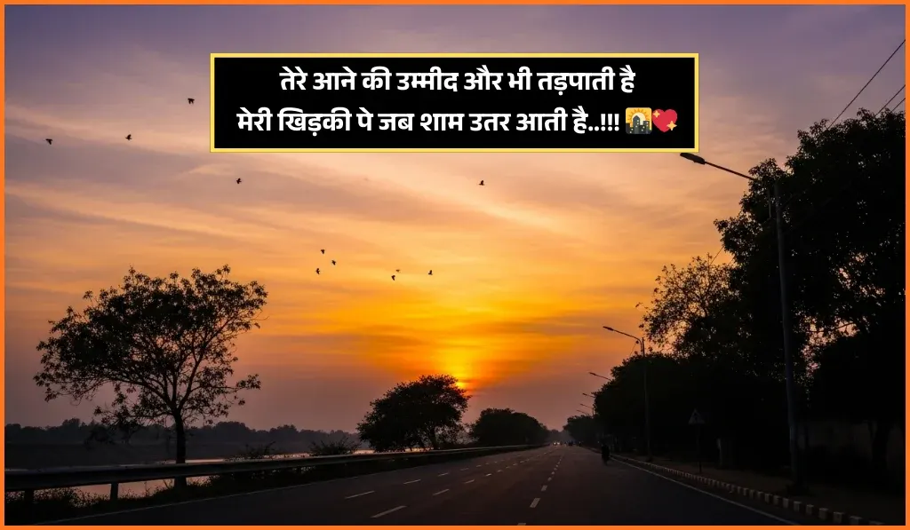 Good Evening Shayari