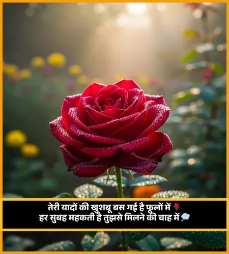 Life Flower Shayari Life Flower Shayari