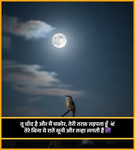 Moon Shayari
